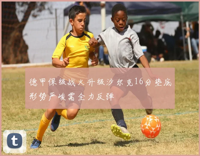德甲保级战火升级沙尔克16分垫底形势严峻需全力反弹
